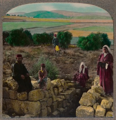 In the Shepherds Field, Betlehem, 1900 körül alkotó: Unbekannt