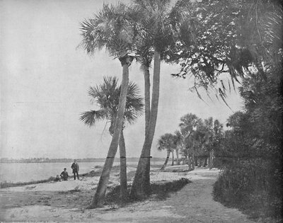 Indian River, Florida, 1897. alkotó: Unbekannt
