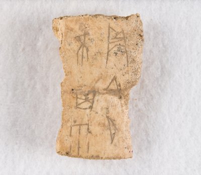 Feliratos csonttöredék orákulum csont, késői Shang-dinasztia, kb. 1300-1050 ie. alkotó: Unbekannt