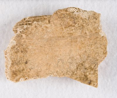 Feliratos csonttöredék orákulum csont, késői Shang-dinasztia, kb. 1300-1050 ie. alkotó: Unbekannt