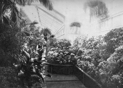 A Fehér Ház üvegházának belseje, Washington DC, USA, 1908 alkotó: Unbekannt