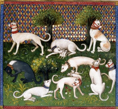 Jagdhunde (Alan) / A vadászat könyve alkotó: Unbekannt