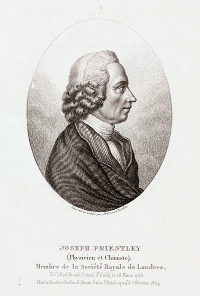 Joseph Priestley angol-amerikai teológus és vegyész, 1780 körül alkotó: Unbekannt