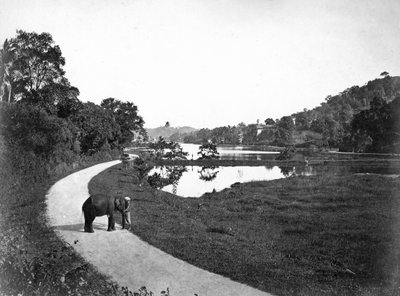 Kandy-tó, Kandy, Sri Lanka, 1910-es évek alkotó: Unbekannt