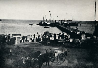 Leszállóhely, Punta Arenas, 1911 alkotó: Unbekannt