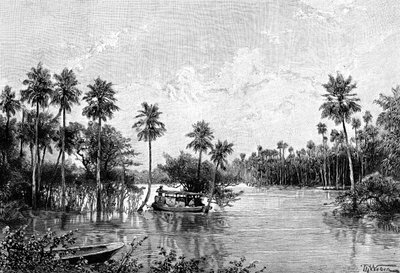 Las Palmes Lagunas, a Pilcomayo torkolatának közelében, 1895 alkotó: Unbekannt