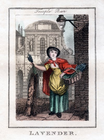 Levendula, Temple Bar, London, 1805 alkotó: Unbekannt