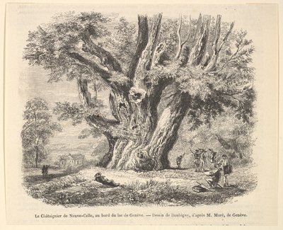 Neuve-Celle gesztenyefa a Genfi-tó partján, Daubigny után, 1835-78. alkotó: Unbekannt