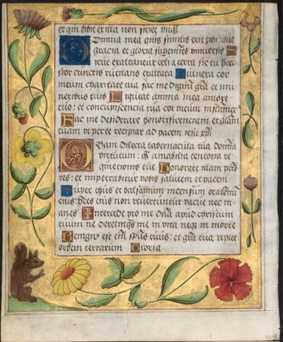 Levél egy zsoltárból és imakönyvből: Díszszegély virágokkal és mókussal verso, c. 1524. alkotó: Unbekannt