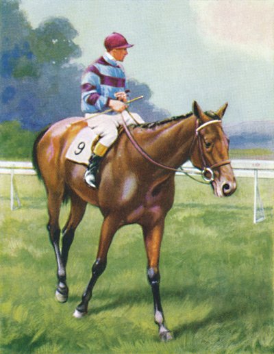 Franciaország legendája, Jockey: A. Richardson, 1939 alkotó: Unbekannt