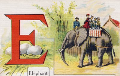 E betű: Elefánt. Metszet "ABC L