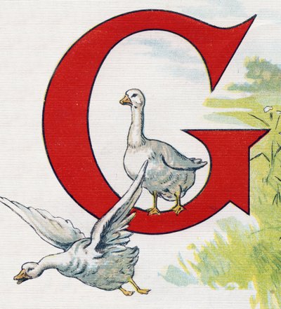 G betű: Jó kacsák. Metszet "ABC L