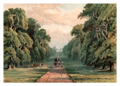 Long Walk, Windsor Park, 1880 alkotó: Unbekannt