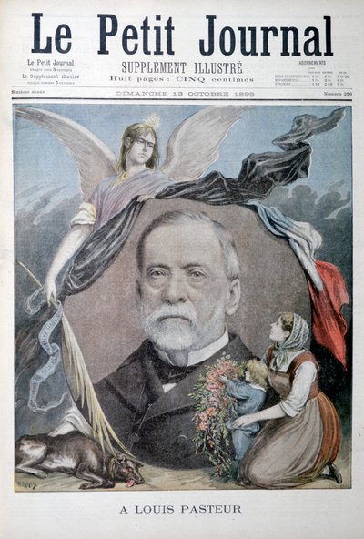 Louis Pasteur francia kémikus, 1895 alkotó: Unbekannt