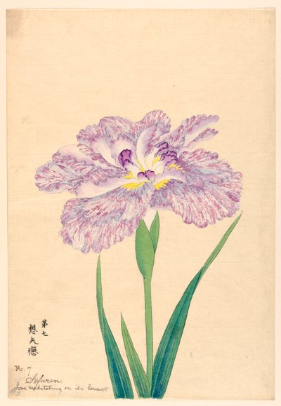 Szerelem meditál konzorciumán (Sofuren), 7. szám, kb. 1910 alkotó: Unbekannt
