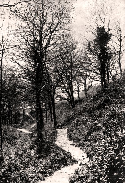 Lovers Lane, Fairlight, Hastings, Sussex alkotó: Unbekannt