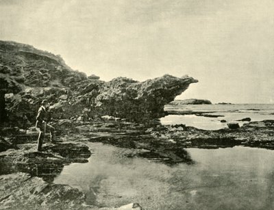 Apály, Shelly Beach, Warrnambool, 1901. alkotó: Unbekannt