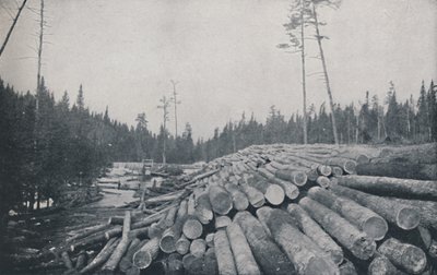 Fakitermelés, 1924 alkotó: Unbekannt