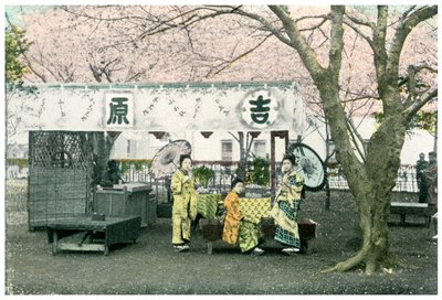 Ebédasztal egy nyilvános parkban, Japán, 1904 alkotó: Unbekannt