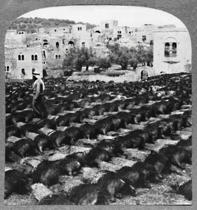 Borosüvegek készítése, Hebron, c1900 alkotó: Unbekannt