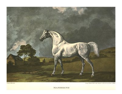 Mambrino, c1779, c1955. alkotó: Unbekannt