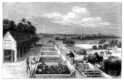 Indigó gyártása Tirhoot Muzaffarpurban, Alsó-Bengáliában, 1869 alkotó: Unbekannt