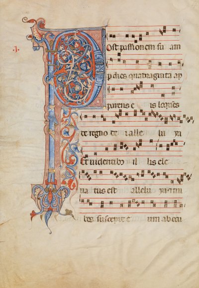 Kéziratos levél foltos P kezdőbetűvel, egy antifóniából, olasz, kb. 1250-60. alkotó: Unbekannt