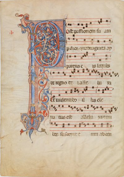 Kéziratos levél foltos P kezdőbetűvel, egy antifonáriából, kb. 1250-60. alkotó: Unbekannt