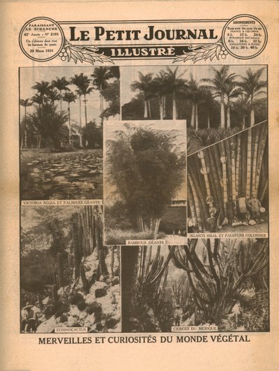 A növényvilág csodái és érdekességei, 1931. alkotó: Unbekannt