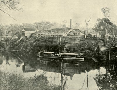 Meat Works, Grafton közelében, Új-Dél-Walesben, 1901. alkotó: Unbekannt
