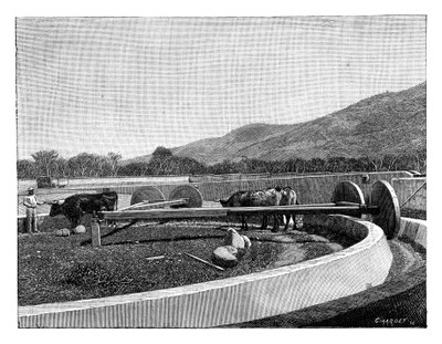 Malom kávé hántolására, Közép-Amerika, c1890 alkotó: Unbekannt