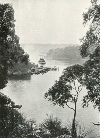 Mosmans Bay, Cremorne Jetty, 1900. alkotó: Unbekannt