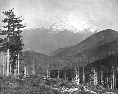 Mount Hood, Oregon, USA, 1900. alkotó: Unbekannt