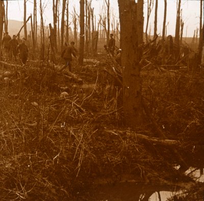 Mount Kemmel, Flandria, Belgium, 1914-c1918 alkotó: Unbekannt