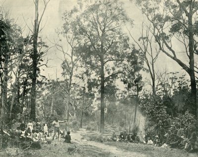Natív sportok, Tyers-tó, 1901. alkotó: Unbekannt