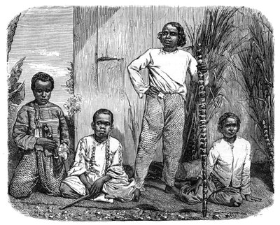 Réunion szigetének őslakosai, 1890 alkotó: Unbekannt