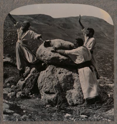 Bárányáldozat felajánlása az oltáron, Moreh, 1900 alkotó: Unbekannt