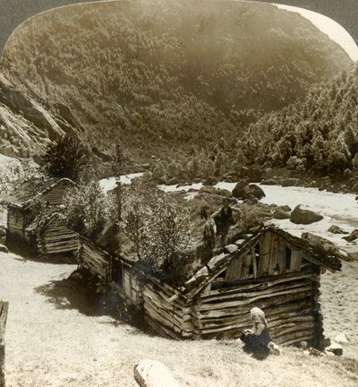 Régi gerendaházak Bratslandsdalban, gyeppel borított tetőn növekvő fákkal, Norvégia, 1905. alkotó: Unbekannt