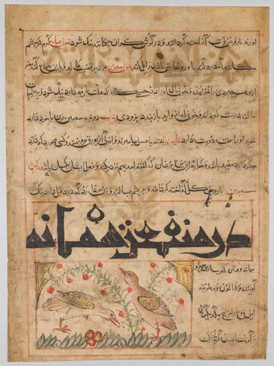 A fürj előnyeiről verso egy Manafi al-Hayawanból..., c. 1300. alkotó: Unbekannt