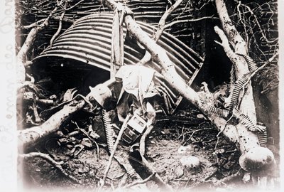 A Chemin des Dames-on, Észak-Franciaországban, c1914-c1918 alkotó: Unbekannt