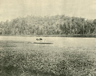 Az Enoggera tavon, 1901. alkotó: Unbekannt