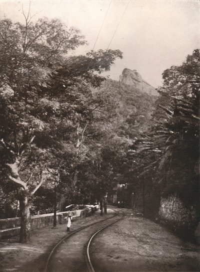 Útban Corcorado felé, 1914 alkotó: Unbekannt
