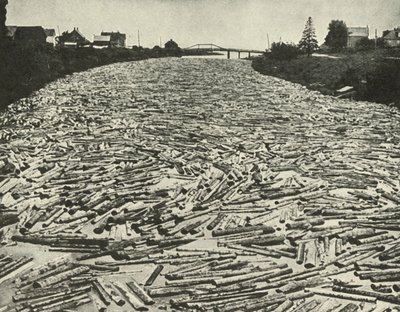 Útban a fűrészmalmok felé, 1948. alkotó: Unbekannt