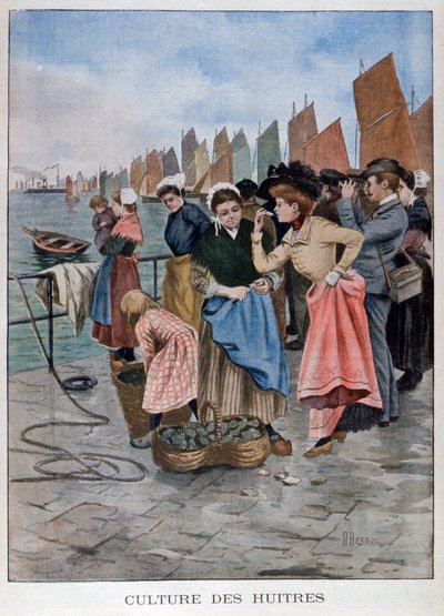 Osztriga eladó, 1902 alkotó: Unbekannt