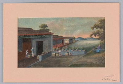 Csomagoló tea ládákban, 1890–1910 alkotó: Unbekannt