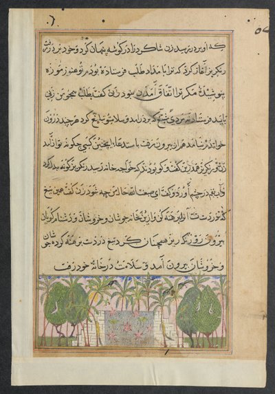 Oldal a Papagáj meséiből Tuti-nama: Nyolcadik éjszaka: Táj lótuszmedencével, c. 1560. alkotó: Unbekannt