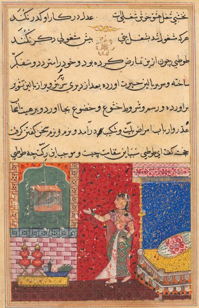 Oldal a Papagáj meséiből Tuti-nama: Tizenötödik éjszaka: A papagáj megszólítja Khujasta..., 1558-156 alkotó: Unbekannt