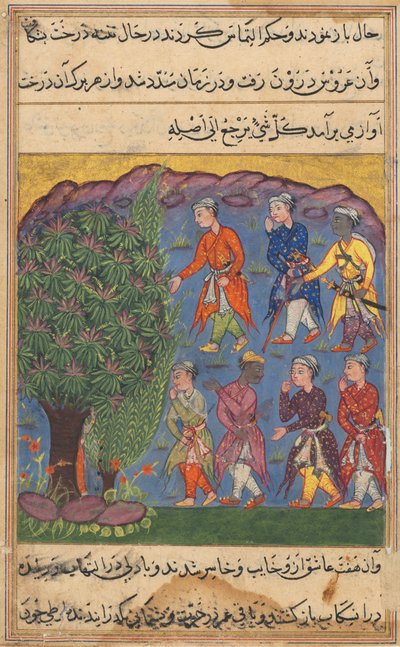 Oldal a Papagáj meséiből Tuti-nama: Hatodik éjszaka: Hét férfi vitatja a birtoklást..., c. 1560. alkotó: Unbekannt