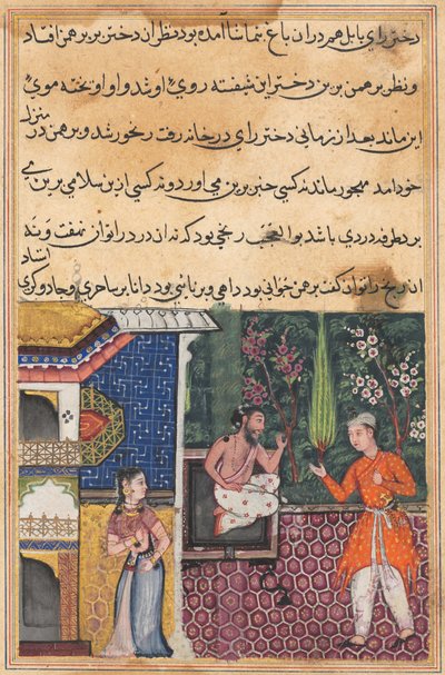 Oldal a Papagáj meséiből Tuti-nama: Harmincötödik éjszaka: A Brahman ad..., c. 1560. alkotó: Unbekannt