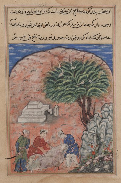 Oldal a Papagáj meséiből Tuti-nama: Huszadik este: Az udvarlók veszik..., c. 1560. alkotó: Unbekannt